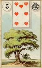 5 Tree - Dondorf Lenormand
