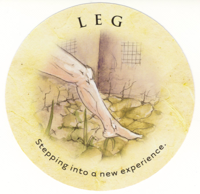 Leg - Tea Leaf Fortune Cards