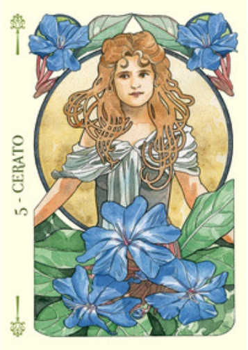 5 Cerato - Flowers Oracle