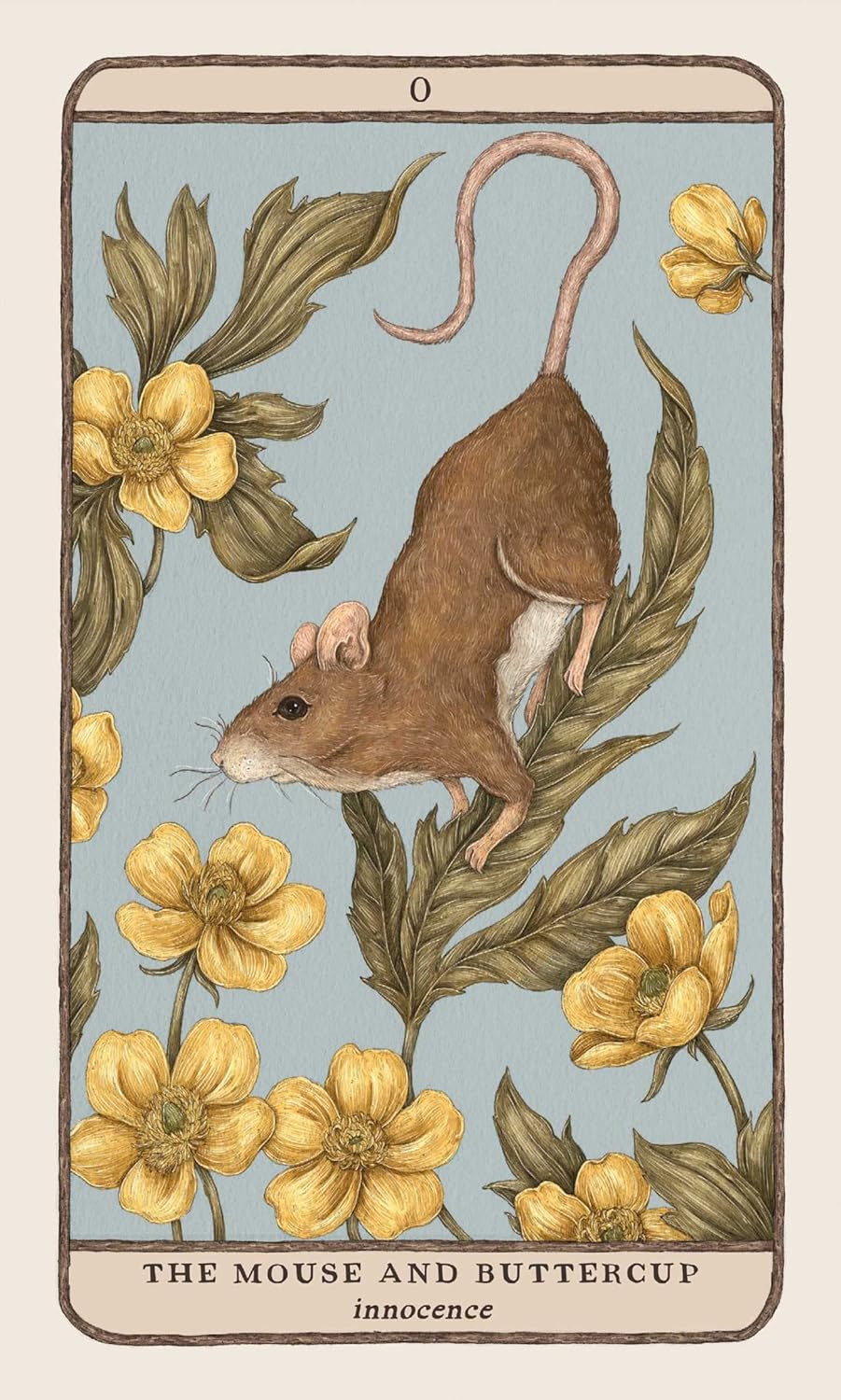 0 The Mouse and Buttercup - Woodland Wardens