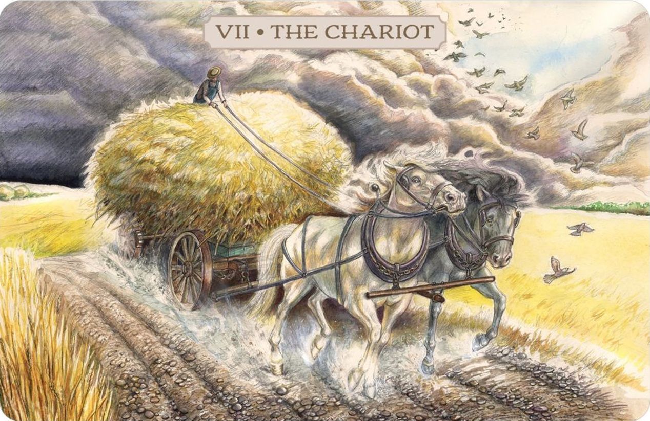 VII The Chariot - Pastoral Tarot