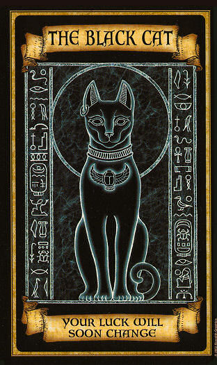 The Black Cat - Madame Endora's Fortune Cards