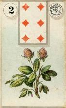 2 Clover - Dondorf Lenormand