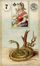 7 Snake - Dondorf Lenormand