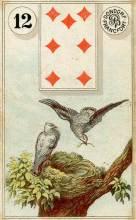 12 Birds - Dondorf Lenormand