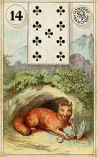 14 Fox - Dondorf Lenormand