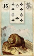 15 Bear - Dondorf Lenormand