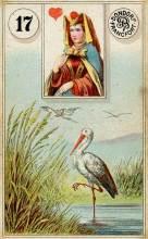 17 Stork - Dondorf Lenormand