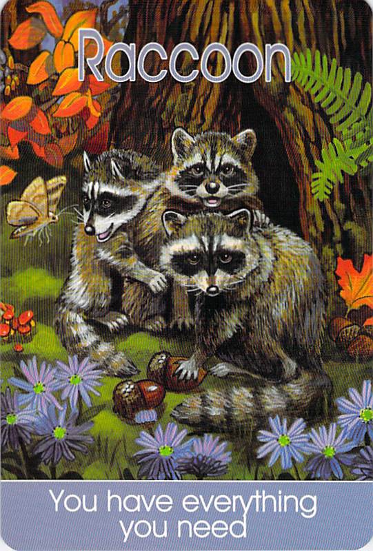 Raccoon - Children's Spirit Animal Cards