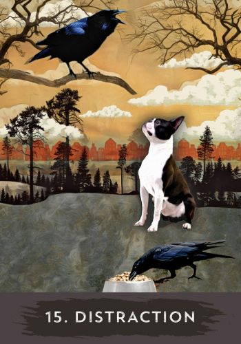 15 Distraction - Shamanic Healing Oracle Cards